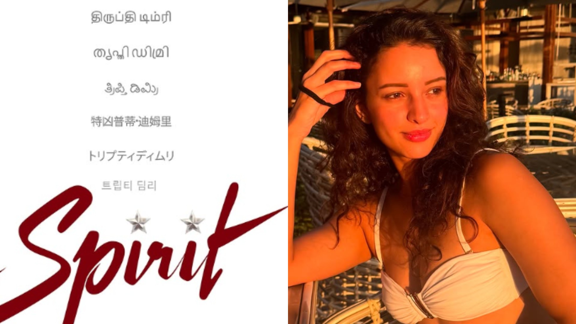 Spirit: ‘स्पिरिट’ में तृप्ति डिमरी का कैसा होगा किरदार? फिल्म से जुड़ी रोचक जानकारी आई सामने