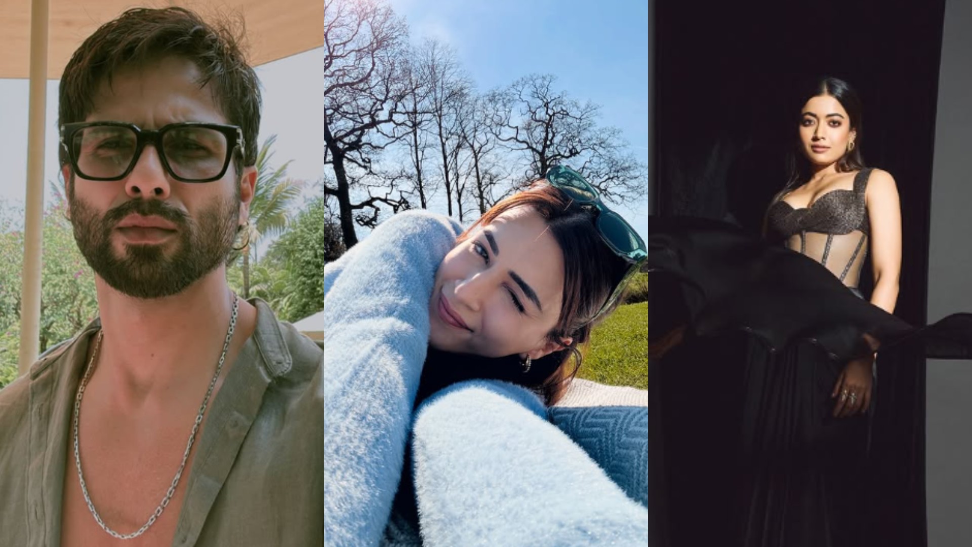 Cocktail 2 में शाहिद कपूर, कृति सेनन और रश्मिका मंदाना की तिकड़ी मचाएगी धमाल, जानें कब से शुरू होगी शूटिंग