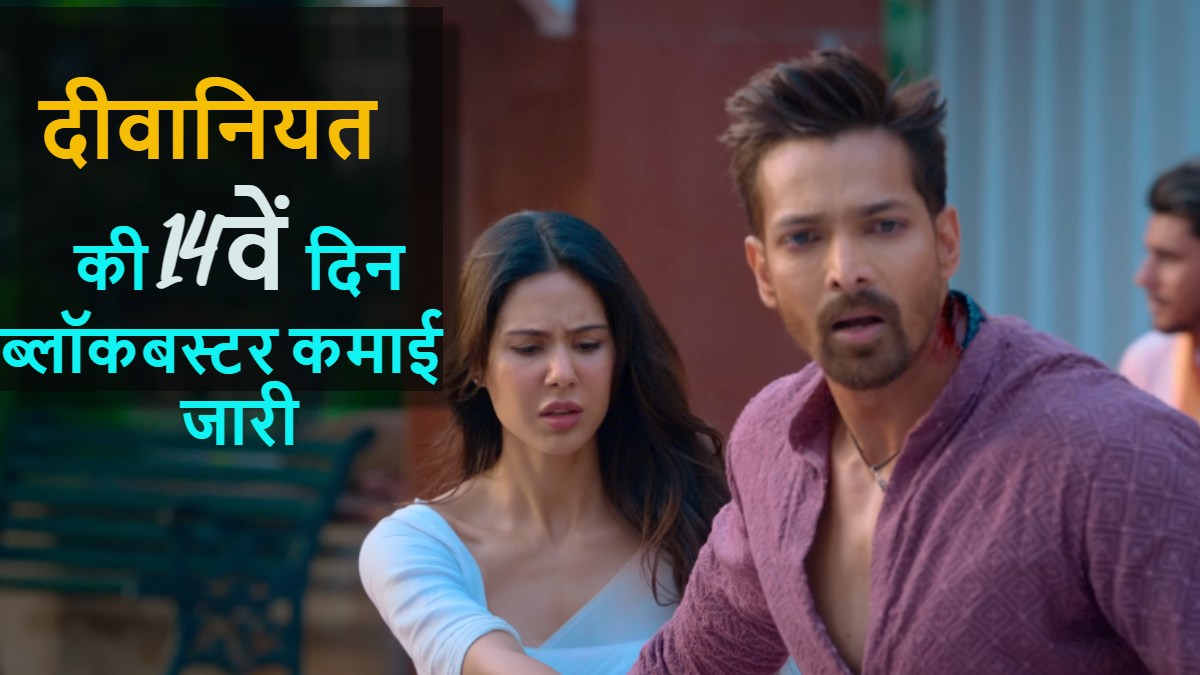 Deewaniyat Box Office Collection Day 14