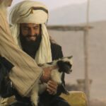 Dhurandhar 2 Box Office Collection Day 19